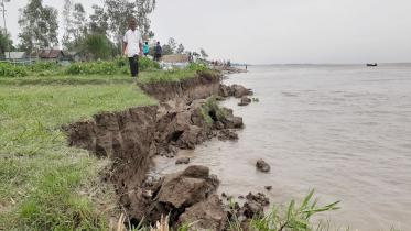 Char Poulee village disappearing Jamuna erosion