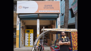 Tiger New Energy