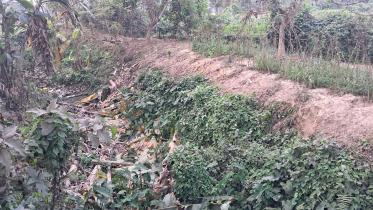 mithachhara-canal-ctg.jpg