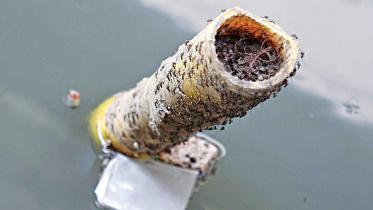 Rain brings fresh dengue concerns
