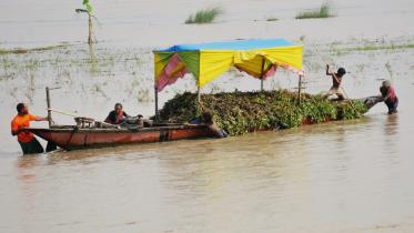 Flood deals a blow to peanut cultivation