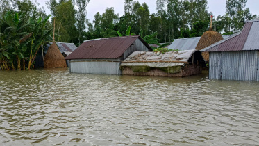 flood1.jpg