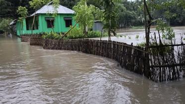 kurigram_dyke_collapsed-05.jpg