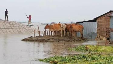 cattle-farmers.jpg