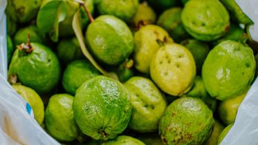 Bored of plain guava? Try these salads and thank us later       jethro-carullo-pwzjzxdonxs-unsplash.jpg