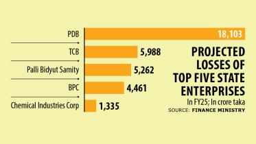 Losses of state enterprises may rise fivefold in FY25