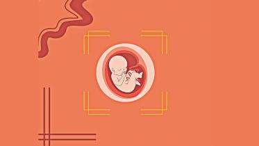 law.jpg