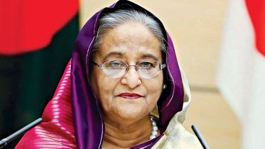foreign technical assistance for quota movement deaths probe