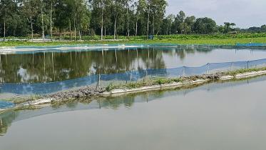 kurigram.jpg