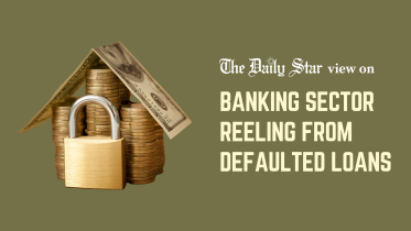 banking sector reeling from defaulted loans