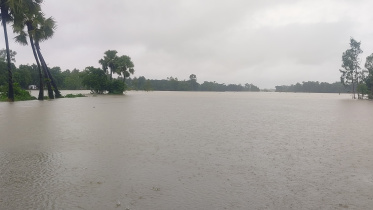 feni-flood1.jpg