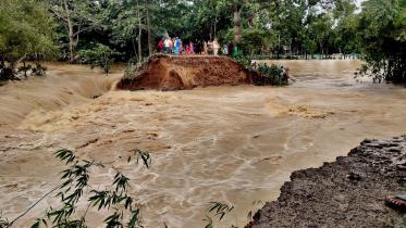flood-bd.jpg