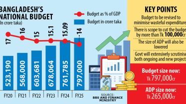 Govt may trim budget by Tk 100,000cr