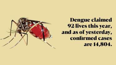 Dengue outbreak risk due to irregular mosquito control in Bangladesh