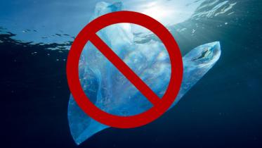 ban_plastic_bag.jpg