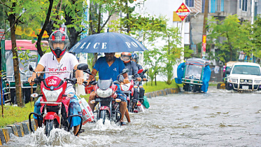 waterlogging.jpg