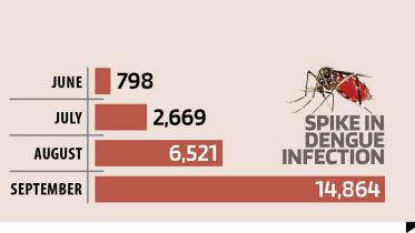 Spike in Dengue Infection