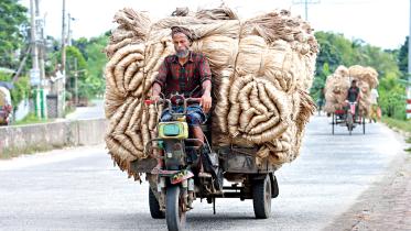 jute.jpg