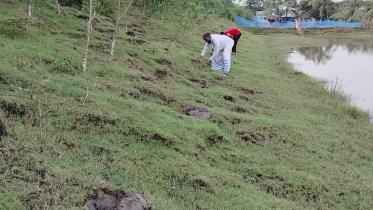 kumirmara-village-1.jpg