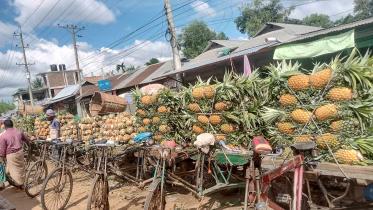 pineapple-growers.jpg