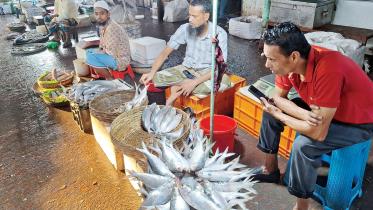 Barishal hilsa markets