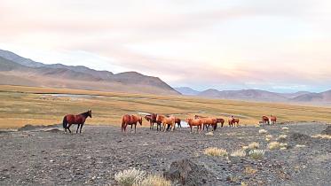 Pamir Highway