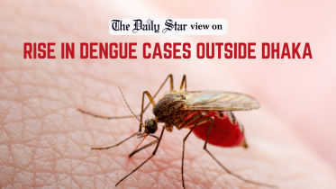 Rise in Dengue cases outside Dhaka