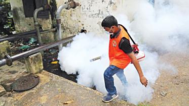 Dengue danger