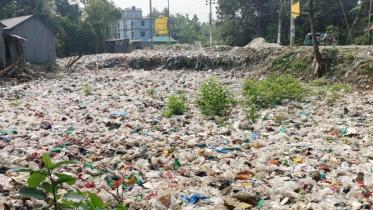 tangail-garbage