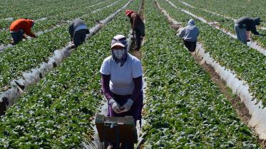 migrant_workers_in_usa.jpg