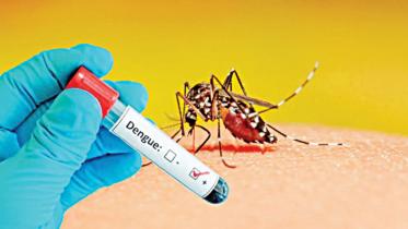 Dengue death toll