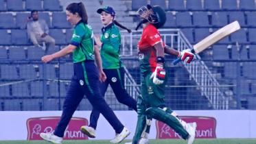 tigresses_05122024_6d0b_bis.jpg