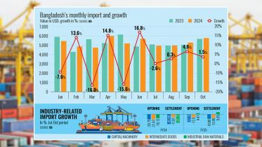 import_of_bangladesh_2024.jpg