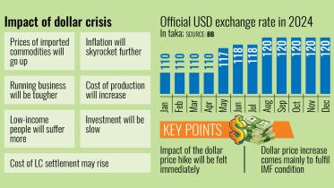 Impact of dollar crisis