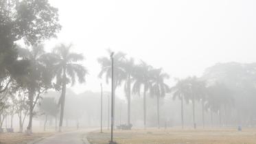 Dust, mosquitoes, dry skin: Dhaka’s real winter dilemmas