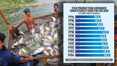 Bangladesh Fish production expanded consistently over the decade