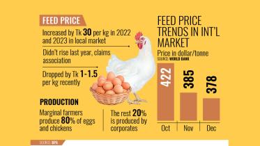 High poultry feed costs despite global drop