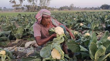 rangpur-region.jpg