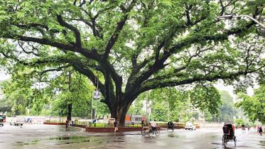 Restricting Dhaka University: When safety meets public outrage