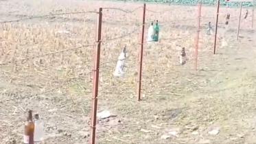 BSF glass bottles Dahagram border