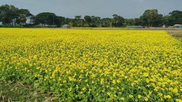 narail-district.jpg