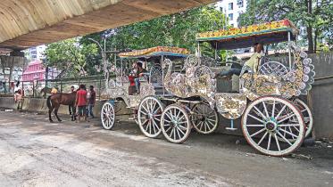 Old Dhaka horse-drawn carriages