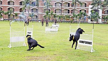 Border Guard Bangladesh dog training