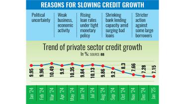 Reasons for Slowing Credit Growth