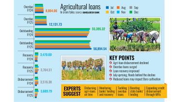 Agri-loan disbursement falls, recovery rises