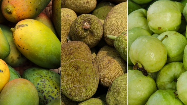 Fruits.jpg