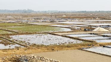 salt farming Bangladesh