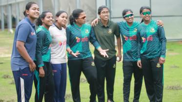 tigresses.jpg