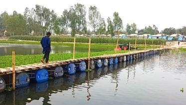 drum-bridge-built-people.jpg