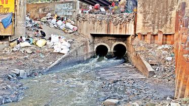 Sewage pollution killing city’s water bodies